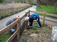 Triangle Garden Maintenance